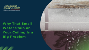 Hero banner for an article: company logo on dark blue background with a curved divider and a bold green headline about ceiling water stains.